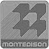 montedison